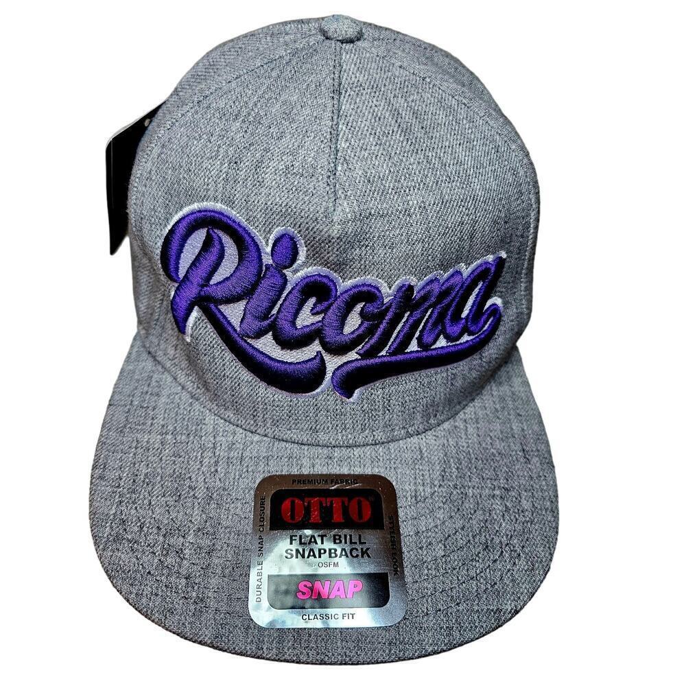 Ricoma 3D NWT Raised embroidered Wool blend hat. Never used. Purple Gray. Games